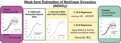 Weak form Scientific Machine Learning for Systems Biology: A Tutorial on WENDy