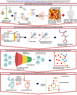 GAN-Enhanced Machine Learning and Metabolic Modeling Identify Reprogramming in Pancreatic Cancer