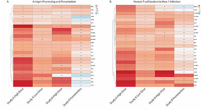 Transcriptional changes in non-human primate tissues after intrathecal delivery of serotype 9 adeno-associated viral vector: insights into organ toxicities