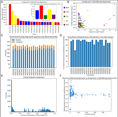 Assembling unmapped reads reveals hidden variation in South Asian genomes