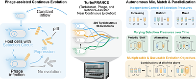 An autonomous system for multi-objective continuous evolution at scale