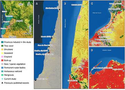 Anopheles azevedoi (Ribeiro, 1969) in Angola: New geographical records, molecular characterization, and insecticide susceptibility profile of a commonly misidentified species