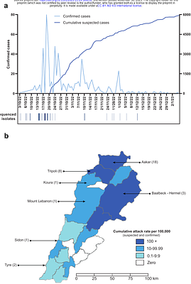 An unusual two-strain cholera outbreak in Lebanon, 2022-2023: a genomic epidemiology study