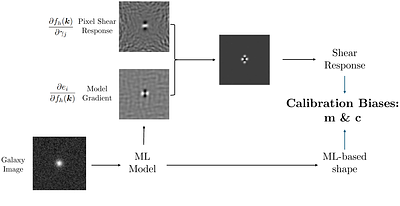 D$_4$CNN$\times$AnaCal: Physics-Informed Machine Learning for Accurate and Precise Weak Lensing Shear Estimation