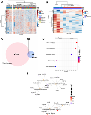 Transcriptomic comparison of early onset preeclampsia and placenta accreta identifies inverse trophoblast and decidua functions at the maternal-fetal interface