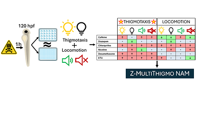 Visual - Acoustic Thigmotaxis in Zebrafish Larvae: A High throughput NAM for Neurotoxicity Assessment