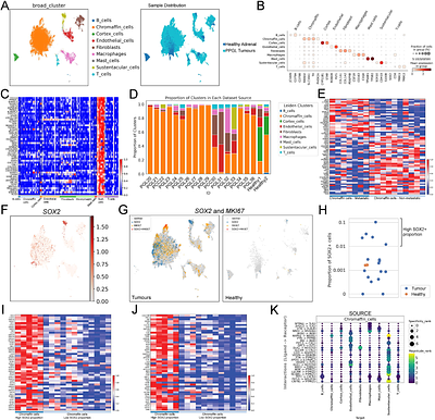 Phaeochromocytomas and paragangliomas harbour tumour-initiating SOX2+ stem cells