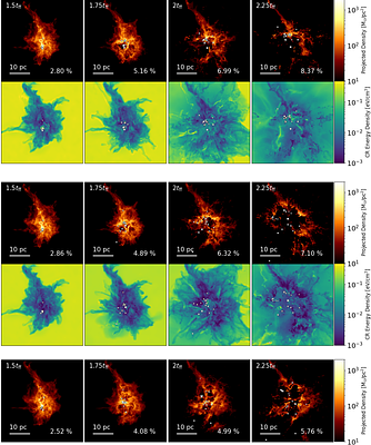Gauging the Impact of Cosmic Ray Feedback on the Stellar Initial Mass Function