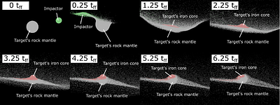 Reaccumulation process after a catastrophic disruption event on a differentiated asteroid