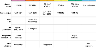 Local Tumor Microenvironment Niches Correlate With Survival And Immunotherapy Response In Human Glioblastoma