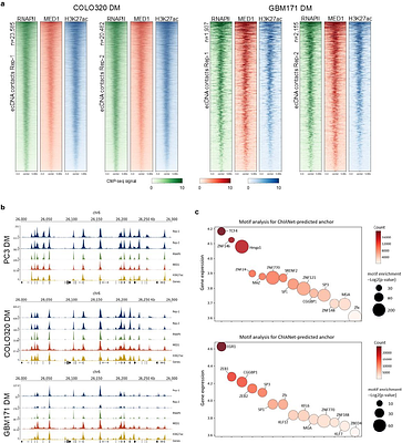 Deep learning framework ChIANet predicts protein-mediated chromatin architecture across functional contexts