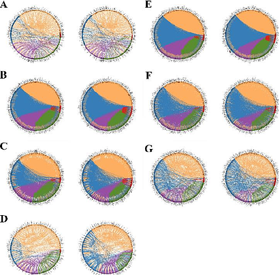 Beyond Regional Activations: Structural Connectivity Message-Passing Shallow Neural Networks for Brain Decoding