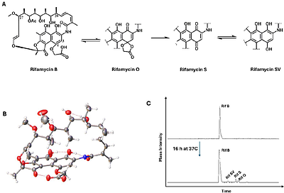 Structural basis for the unexpected activity of rifamycin B against rifampicin-resistant RNA polymerase