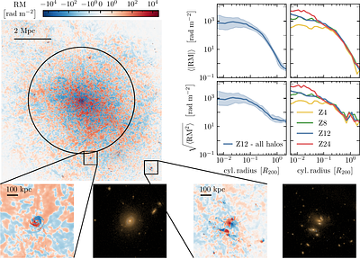 The PICO-Cluster Project: presenting the galaxy cluster sample and studying magnetic field growth, Faraday rotation and Braginskii heating