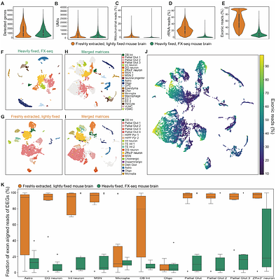 Fixative eXchange (FX)-seq: Scalable Single-nucleus RNA Sequencing Analysis of PFA-fixed or FFPE Tissue