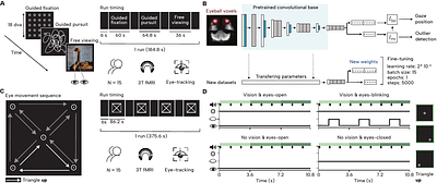 Optimizing MR-based gaze-decoding for eyes-closed eye-tracking in fMRI