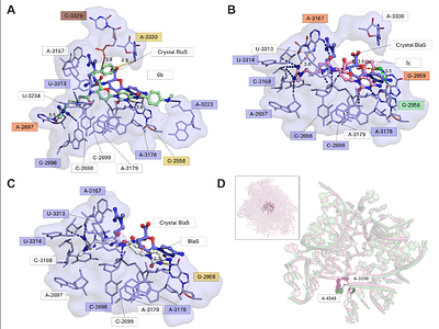 Development of semisynthetic blasticidin S analogs with potent and fast-killing anti-malarial activity