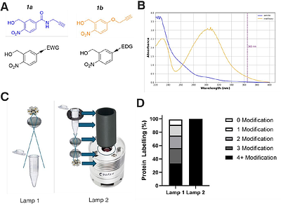 Design and Characterisation of Photoactivatable and Lysine Reactive o-Nitrobenzyl Alcohol-Based Crosslinkers