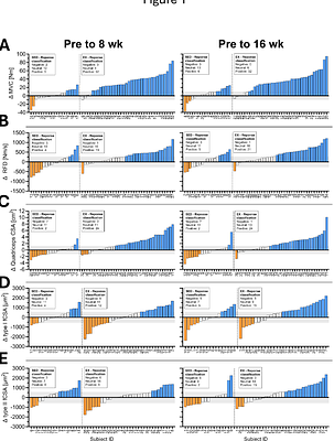 Heavy Resistance Exercise Training in Older Men: A Responder and Inter-individual Variability Analysis