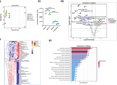 The ASNS inhibitor ASX-173 potentiates L-asparaginase anticancer activity