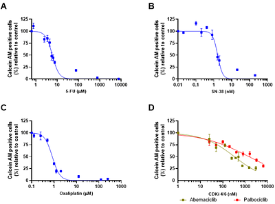 CDK4/6 inhibitors enhance oxaliplatin efficacy in colorectal cancer with RB-dependent and tumor-selective activity in intestinal model