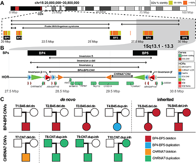 Distinct mechanisms of CNV formation at the human 15q13.3 locus