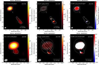 VAPOLA -- A multi-year, multi-band polarization survey of AGN and Sgr A* at mm wavelengths with ALMA I. Survey Overview and Science-Ready Archival Products