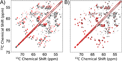 NMR Spectral Alignment Utilizing a CryoEM Motion Correction Algorithm