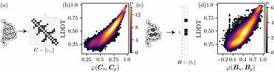 Residue burial encodes a protein's fold