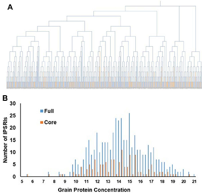 The carbon-nitrogen metabolism gene E1OGDH1 influences maize root system architecture and nitrogen plasticity