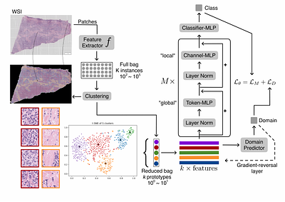 Mixing Histopathology Prototypes into Robust Slide-Level Representations
  for Cancer Subtyping