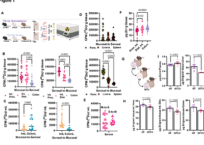 Multiomics Approach to Regionally Profile Zinc-Driven Host-Gut Microbiome Interactions in the Intestinal Tract