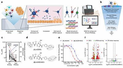 Discovery of a VHL molecular glue degrader of GEMIN3 by Picowell RNA-seq