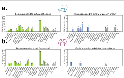 Cycle-by-cycle respiration waveforms are coupled with the shape of neural oscillations