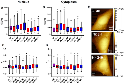 Mechanical evolution of 3T3 fibroblastic cells exposed to nanovibrational stimulation
