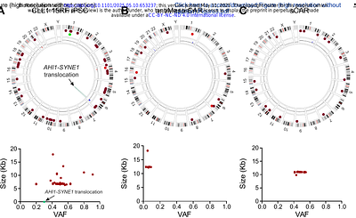 Unveiling Genomic Rearrangements in Engineered iPSC Lines by Optical Genome Mapping