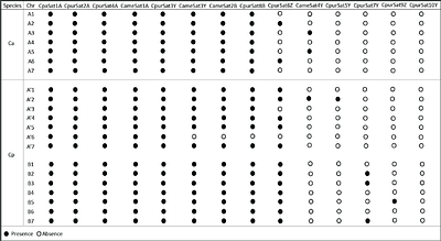 Cenchrus purpureus and Cenchrus americanus repeatome provide chromosomal markers to distinguish subgenomes