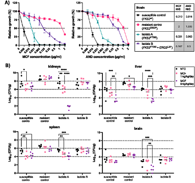 Epistasis at the cell surface: what is the role of Erg3 loss-of-function in acquired echinocandin resistance?