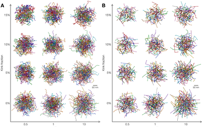 Conformational dynamics of exopolysaccharides underlie biofilm matrix mechanics in Vibrio cholerae