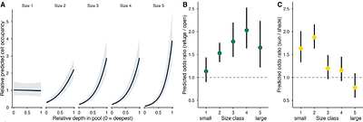 Fine-scale movements and habitat use of fish in intermittent rivers: Behavioural insights from drying refuge pools