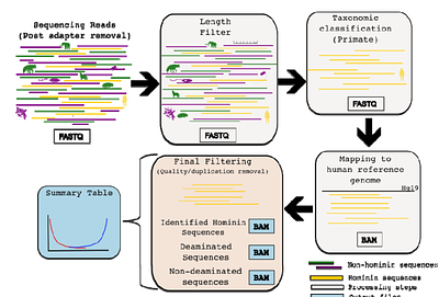 sedimix: A workflow for the analysis of hominin nuclear DNA sequences from sediments