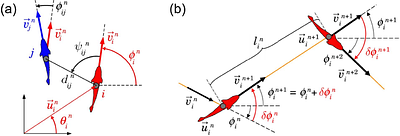 Group size and social interactions' strength determine collective response to perturbation in a model of burst-and-coast swimming fish