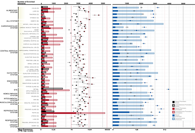 The DoGA Consortium Atlas of Canine Enhancers and Promoters Across Tissues and Development