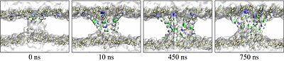 Impact of Peptide Initial Configuration and Membrane Composition on Melittin's Pore-Forming Ability under Unbiased All-Atom Molecular Dynamics Simulations