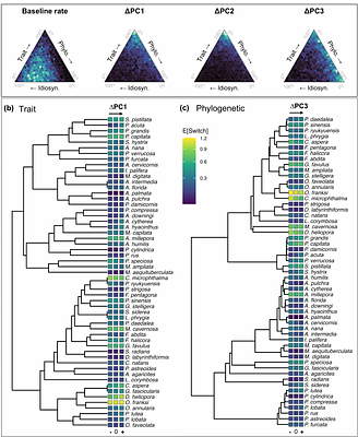 Host traits, phylogeny, and symbiont identity explain variation in colony-level symbiont switching across reef-building corals