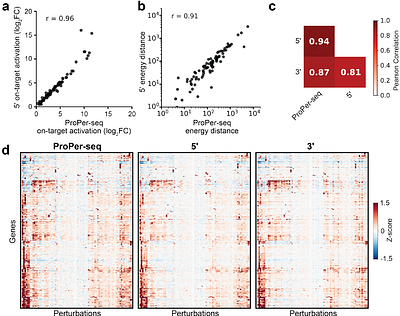 Scalable probe-based single-cell transcriptional profiling for virtual cell perturbation mapping and synthetic biology phenotyping