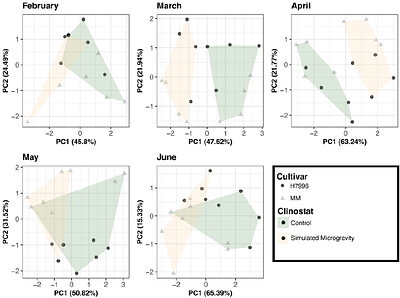 Vascular anatomy changes in tomato stems grown under simulated microgravity