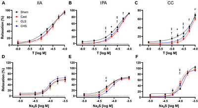 Chronic administration of the hydrogen sulfide prodrug SG1002 partially protects against erectile dysfunction resulting from long-term androgen deprivation