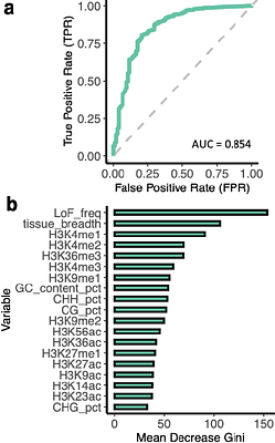 Functional Insights into Dispensable Genes using Genome-Wide Loss-of-Function Burden Tests in Arabidopsis