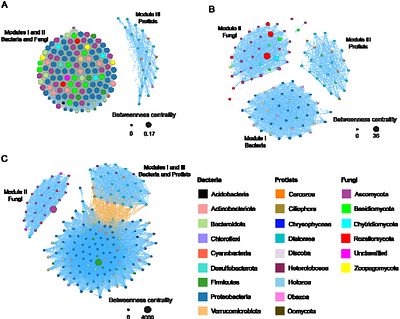 Urban chemical stress disrupts cross-domain microbial networks in river sediments